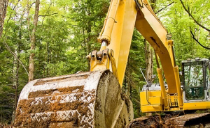 estudios de impacto ambiental Cantabria Savia