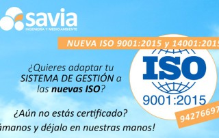 ¿Cómo puedo implantar la ISO 9001 en mi empresa? Cantabria