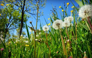 Diagnóstico Asistido en Sostenibilidad Cantabria
