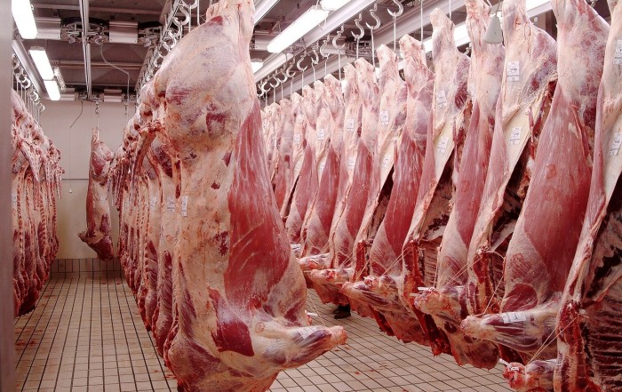 Analisis de Riesgo Medio Ambiental Matadero